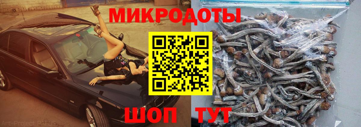 Воронеж  Псилоцибиновые грибы Magic Shrooms  Вход с VPN 